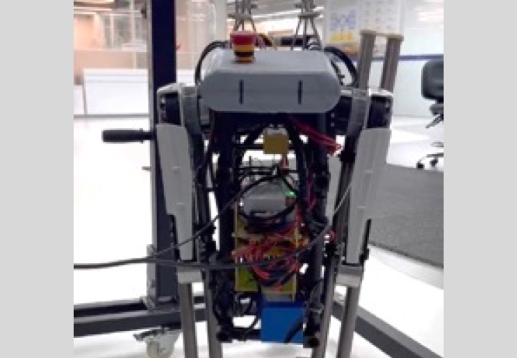 Bipedal robot